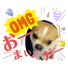 [LINEスタンプ] 仲良しチヮワのマナとココ2