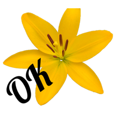 [LINEスタンプ] 花々2