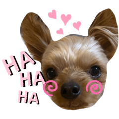 [LINEスタンプ] こつぶすたんぷ