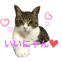 [LINEスタンプ] ごえもん日和 4