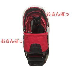 [LINEスタンプ] くろ猫(=^ェ^=)あずき