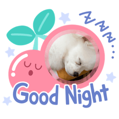 [LINEスタンプ] レフラースタンプ