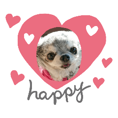 [LINEスタンプ] あさdog3