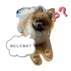 [LINEスタンプ] ぽぽフル活用