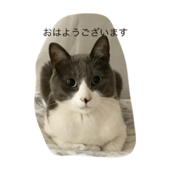 [LINEスタンプ] タッキーズ ファミリー