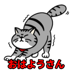 [LINEスタンプ] 大阪弁の猫ブサマルのスタンプ