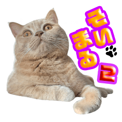 [LINEスタンプ] そいまるの日常②