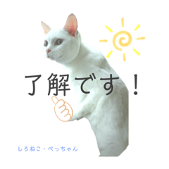 [LINEスタンプ] しろねこ姉妹part2