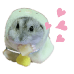 [LINEスタンプ] ハムスターあんこ vol.1