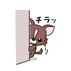 [LINEスタンプ] 茶色いチワワの日常スタンプ！