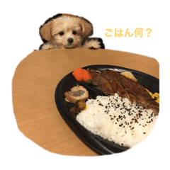 [LINEスタンプ] ロッティ1