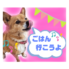 [LINEスタンプ] ティガちゃんスタンプ