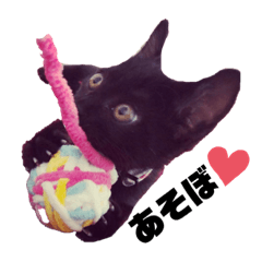 [LINEスタンプ] 黒猫プティくん❤︎