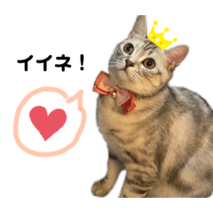 [LINEスタンプ] sakunyan.33
