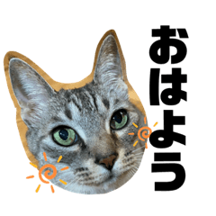[LINEスタンプ] テンテンてんちゃん