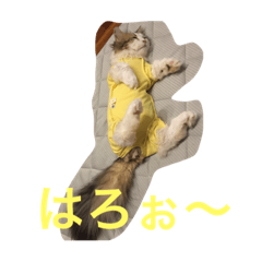 [LINEスタンプ] 眠リンク