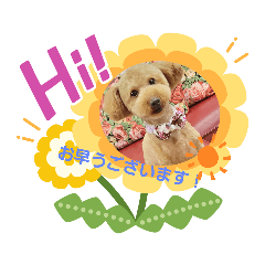 [LINEスタンプ] 大内家のスタンプだよ！