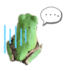 [LINEスタンプ] リアルなかえるのきもち
