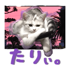 [LINEスタンプ] 人生を顧みるスタンプ6