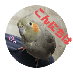 [LINEスタンプ] オカメインコのポン 2