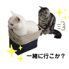 [LINEスタンプ] エレンとわさび