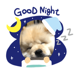 [LINEスタンプ] jmatgntdat