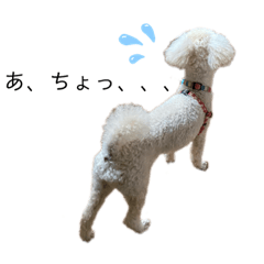 [LINEスタンプ] 我が家のもふもふ③