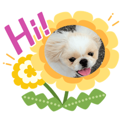 [LINEスタンプ] ちゃび・ちゃび 2