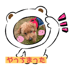[LINEスタンプ] ミモザファミリー日常