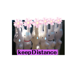 [LINEスタンプ] らびくまちゃん〜癒しの挨拶スタンプ〜
