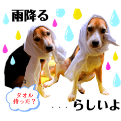 [LINEスタンプ] みるセブスタンプ②