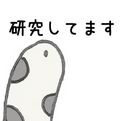 [LINEスタンプ] 研究者のためのチンアナゴたち