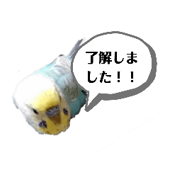 [LINEスタンプ] マニアック(笑)