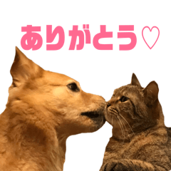 [LINEスタンプ] ソラとレオン