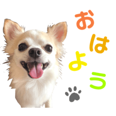 [LINEスタンプ] まりぶすたんぷ