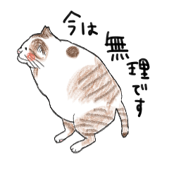 [LINEスタンプ] 親戚のぽってり猫達