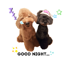 [LINEスタンプ] ウチの子トイプー みっちぃ＆アリエル