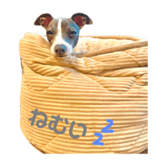 [LINEスタンプ] イタグレてぃののスタンプ
