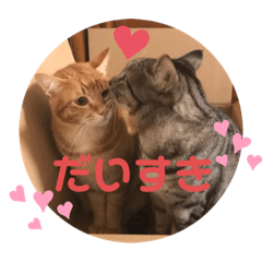 [LINEスタンプ] うるちゃとスタンプ3