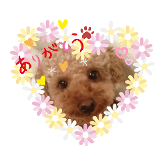 [LINEスタンプ] yuma_yuma