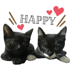 [LINEスタンプ] 青＆紺⑥