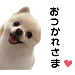 [LINEスタンプ] 西村家のくぅちゃん♡