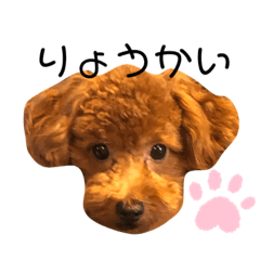 [LINEスタンプ] mokamame