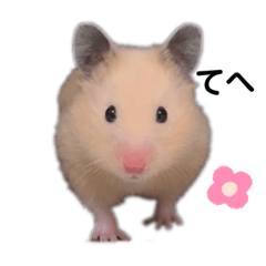 [LINEスタンプ] キンクマハムスターぽてこ