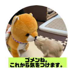 [LINEスタンプ] ししまるスタンプ2