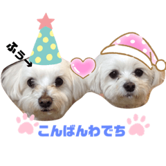 [LINEスタンプ] ふぅとかのんでちー