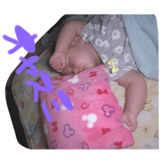 [LINEスタンプ] 私の家族は宝物