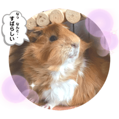 [LINEスタンプ] のんびり屋さんのもるもっと "KURIKURI"