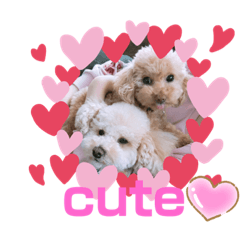 [LINEスタンプ] リヨン＆ルナ