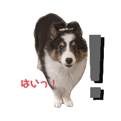 [LINEスタンプ] alex.m